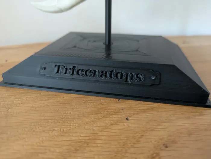 Crâne de triceratops sur socle - photo numéro 17
