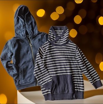 2 sweets 1 zippé a capuche 1 col roulé croisé