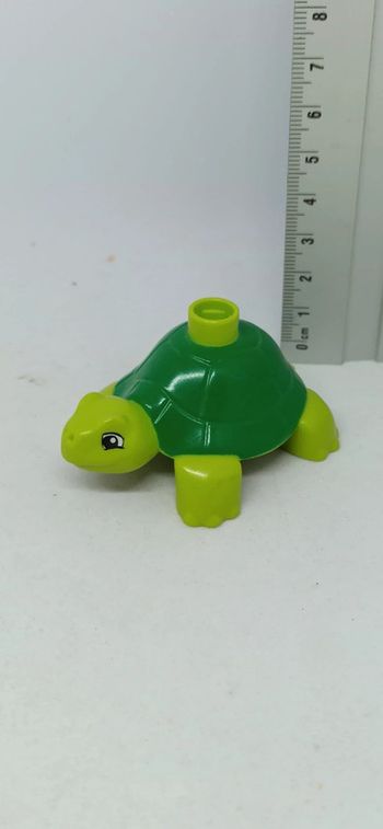 Tortue lego duplo