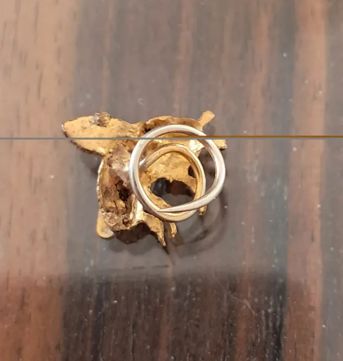 Broche ou pin's original et ancien en métal doré insecte - photo numéro 5