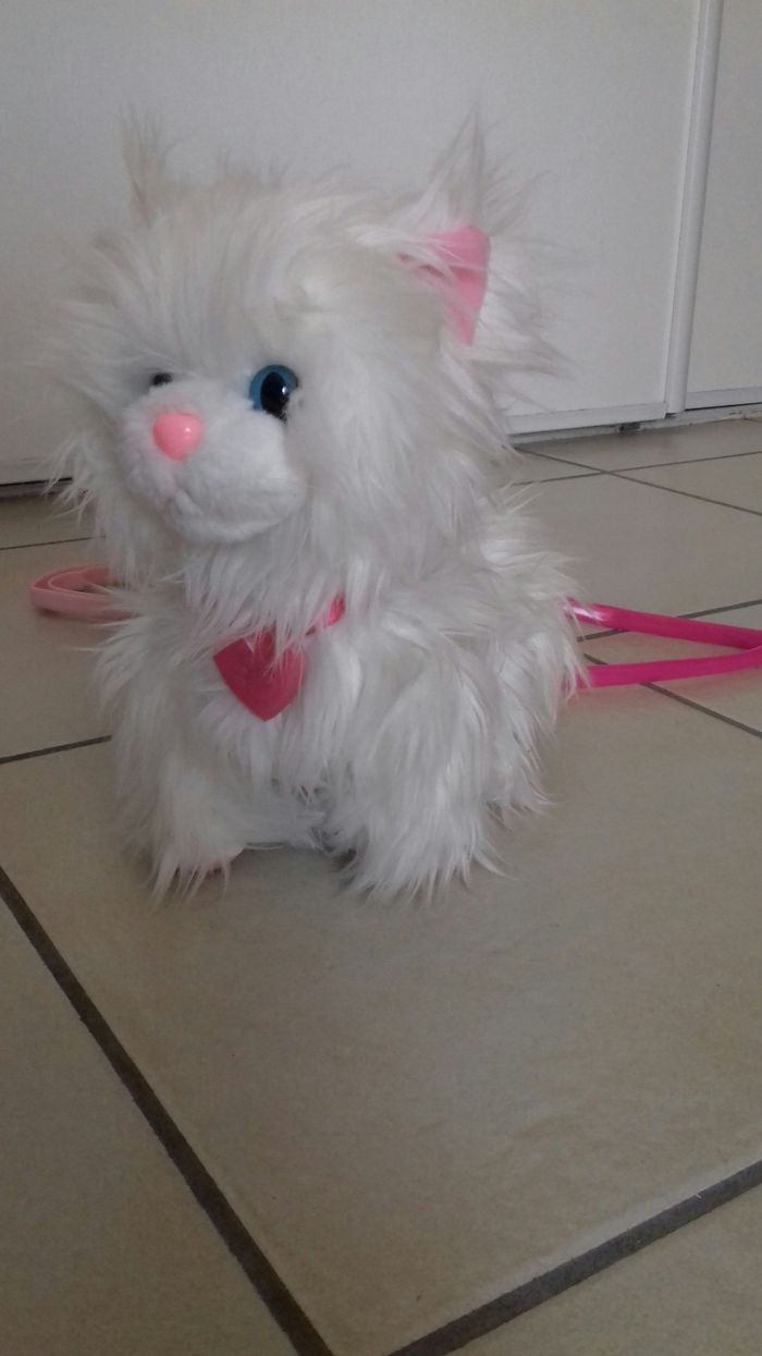 Chaton animagic - photo numéro 3