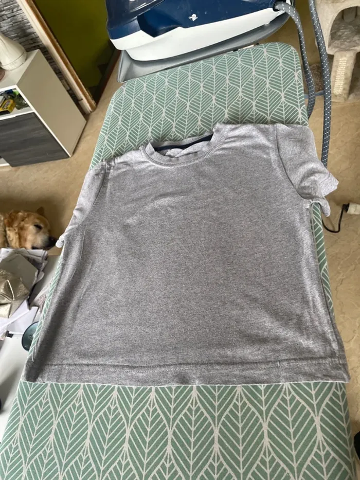 Teeshirt garçon 5 ans - photo numéro 2