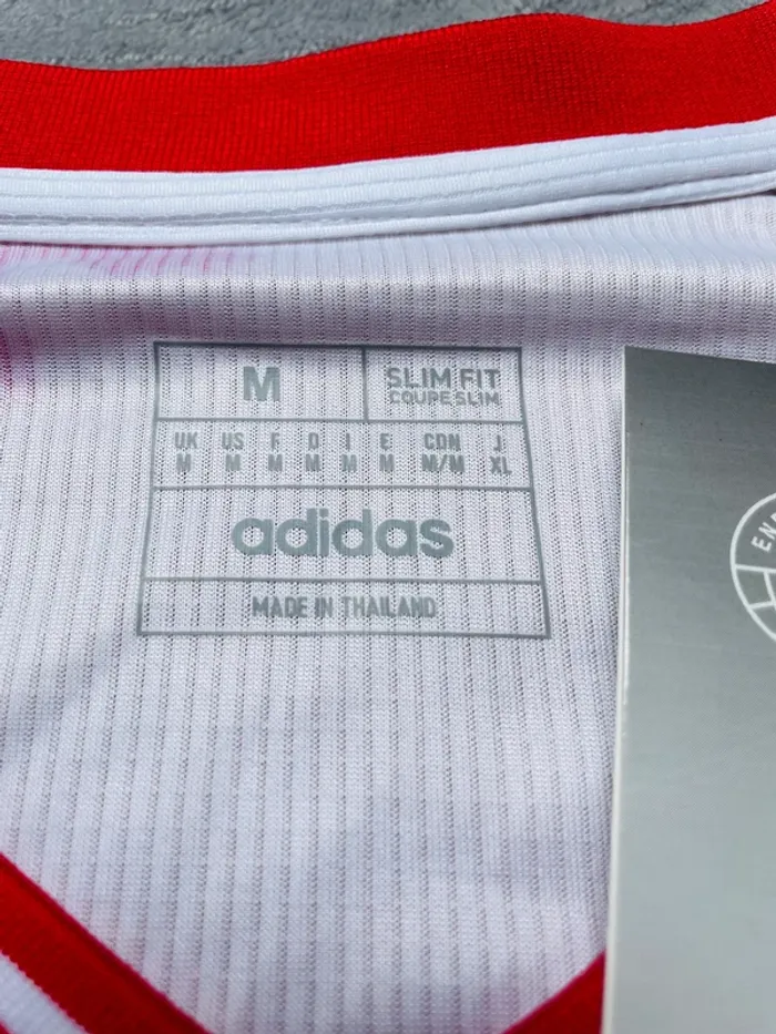 Maillot concept foot Japon rouge paysage taille M - photo numéro 8