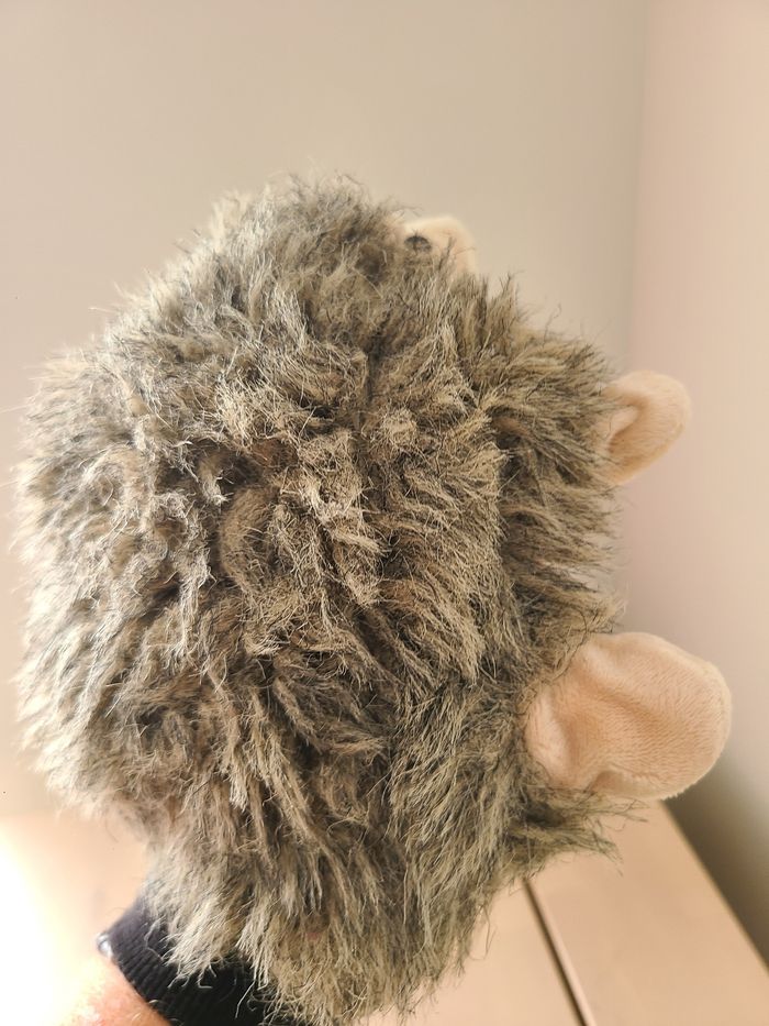 Hérisson - photo numéro 6