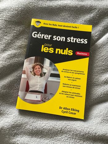 Gérer son stress pour les nuls (business)