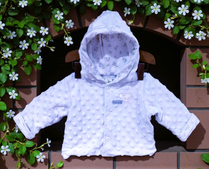 BANANA - VESTE CAPUCHE BÉBÉ FILLE MOTIF BOULES RELIEFS & INTÉRIEUR OISEAUX 0/3M - photo numéro 2