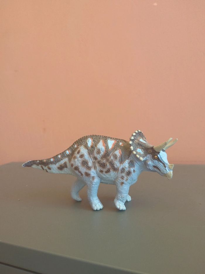 Triceratops Safari