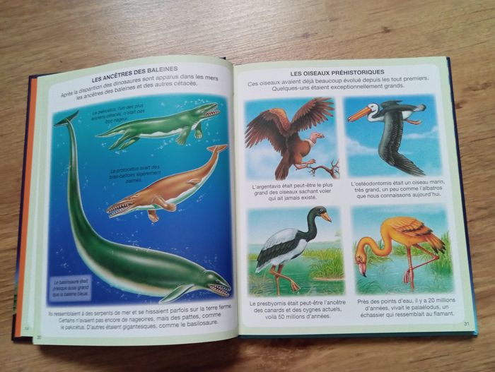 L'imagerie dinosaures et préhistoire - photo numéro 4