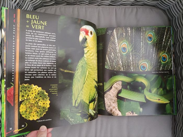 Magnifique livre " les couleurs dans la nature" TBE - photo numéro 6