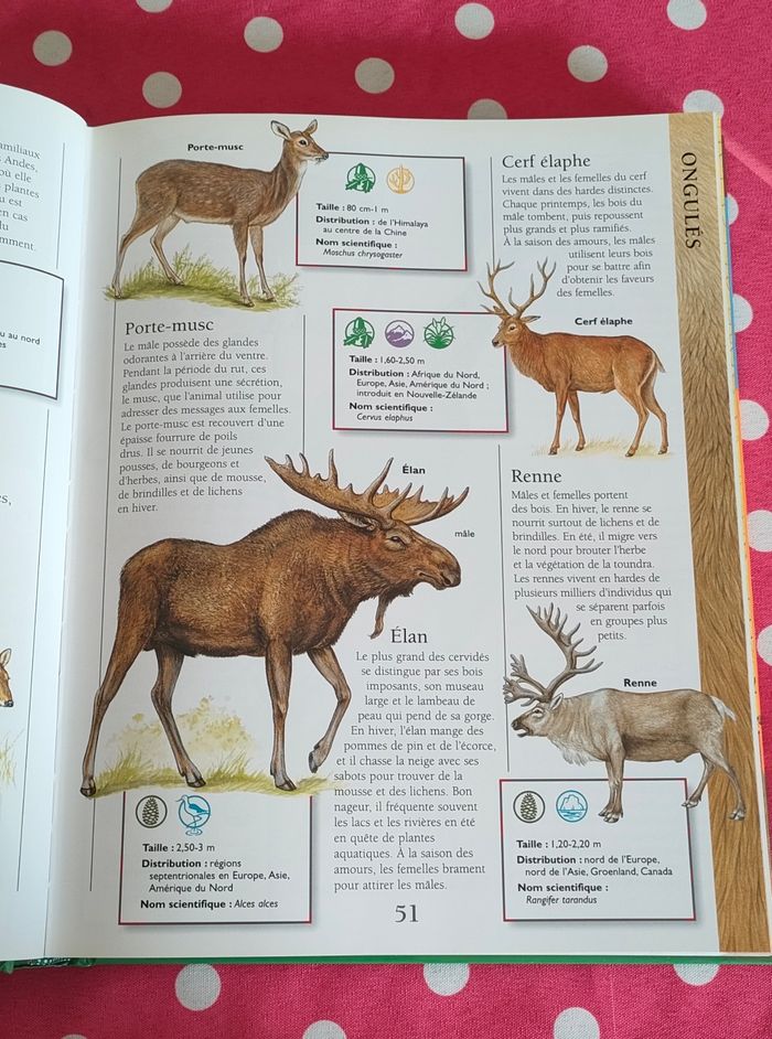 Encyclopédie animaux - photo numéro 2