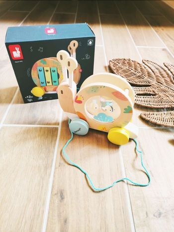 🐌Jeu eveil sensoriel - Escargot en bois à promener 3 en 1 avec xylophone et tambour - Janod