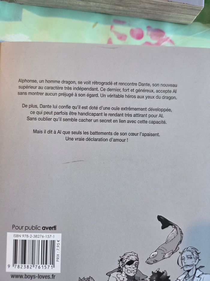 Manga yaoi aux choix - photo numéro 7