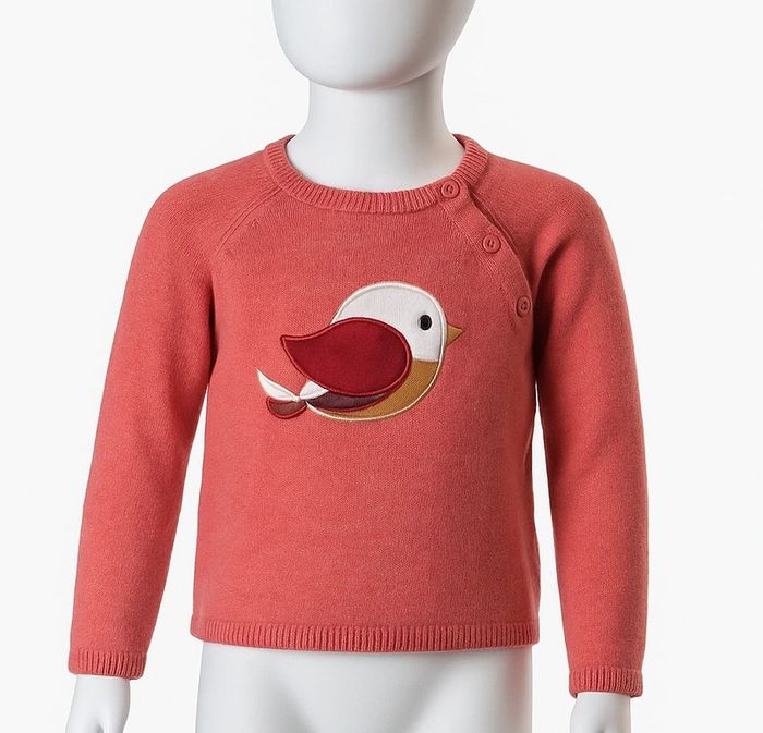 Pull taille 23 mois