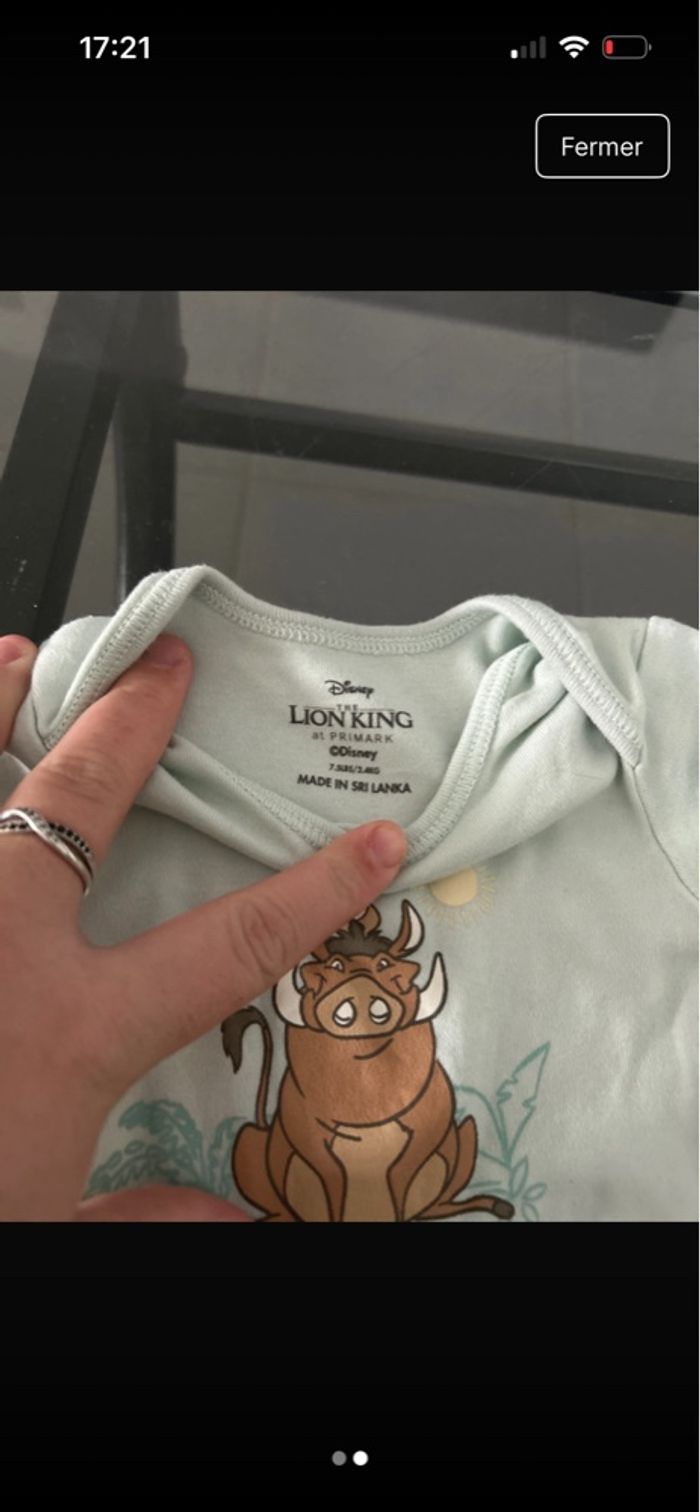 Bodies roi lion - photo numéro 2