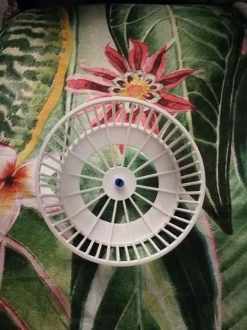 Roue pour rongeurs en très bon état 