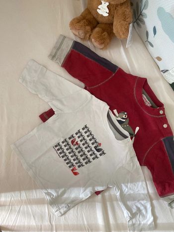 Lot 2 tee shirt manches longues