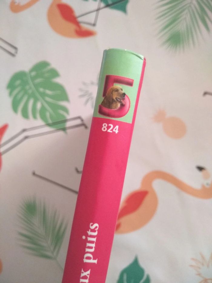 Livre Le Club des Cinq - photo numéro 4