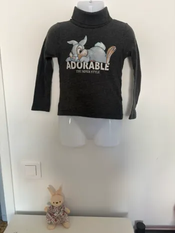 Sous-pull Disney Panpan - 4 ans - Très bon état