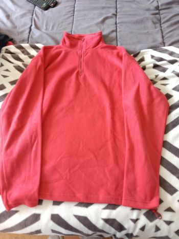 Pull polaire