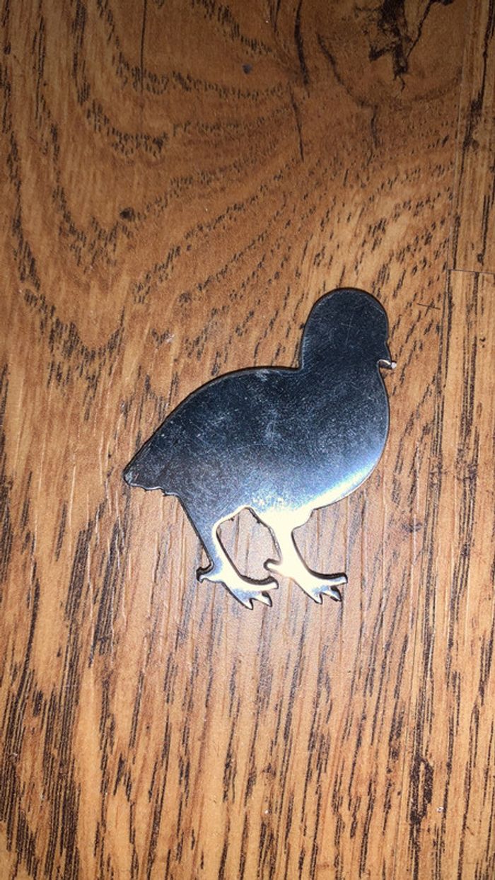Magnet oiseau