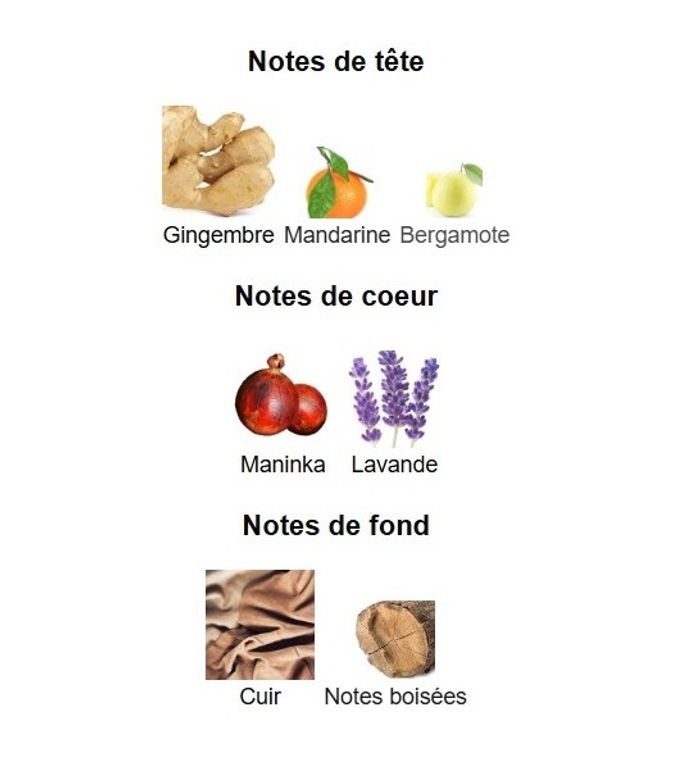 Desso Gold Gentleman "inspi hugo boss The Scent Him" Eau de Parfum Homme 100 ml - photo numéro 4