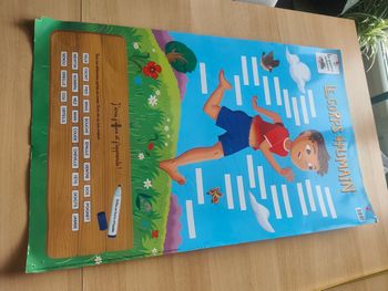 Poster scolaire le corps humain Bordas les poster ardoise utilisable avec feutre effaçable 50 par 80 cm