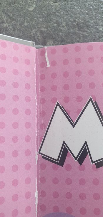 A donner dans un lot : Minnie cherche et trouve