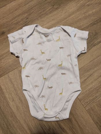 Body 6 mois