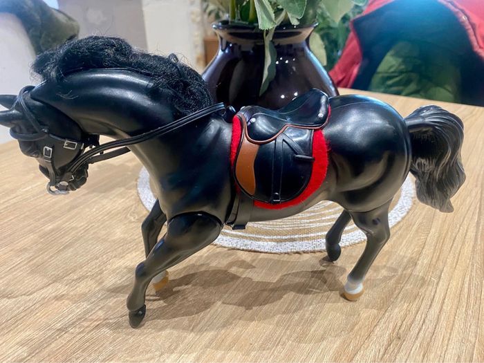 Zorro et son cheval Tornado qui henni - photo numéro 11