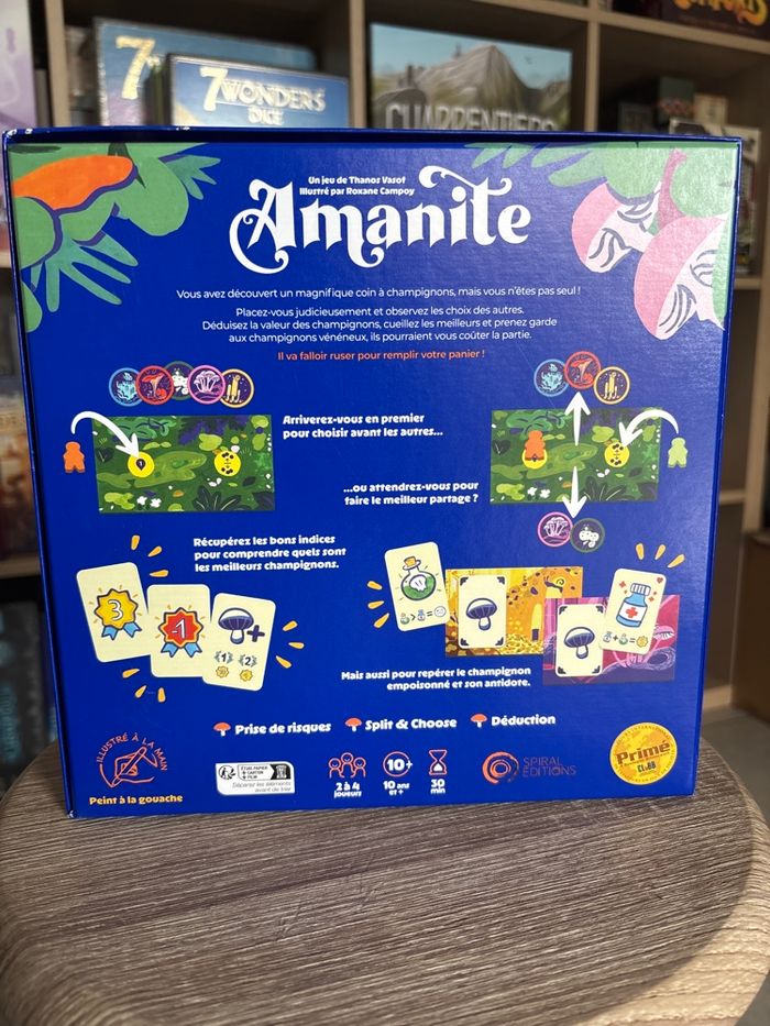 Amanite - photo numéro 2