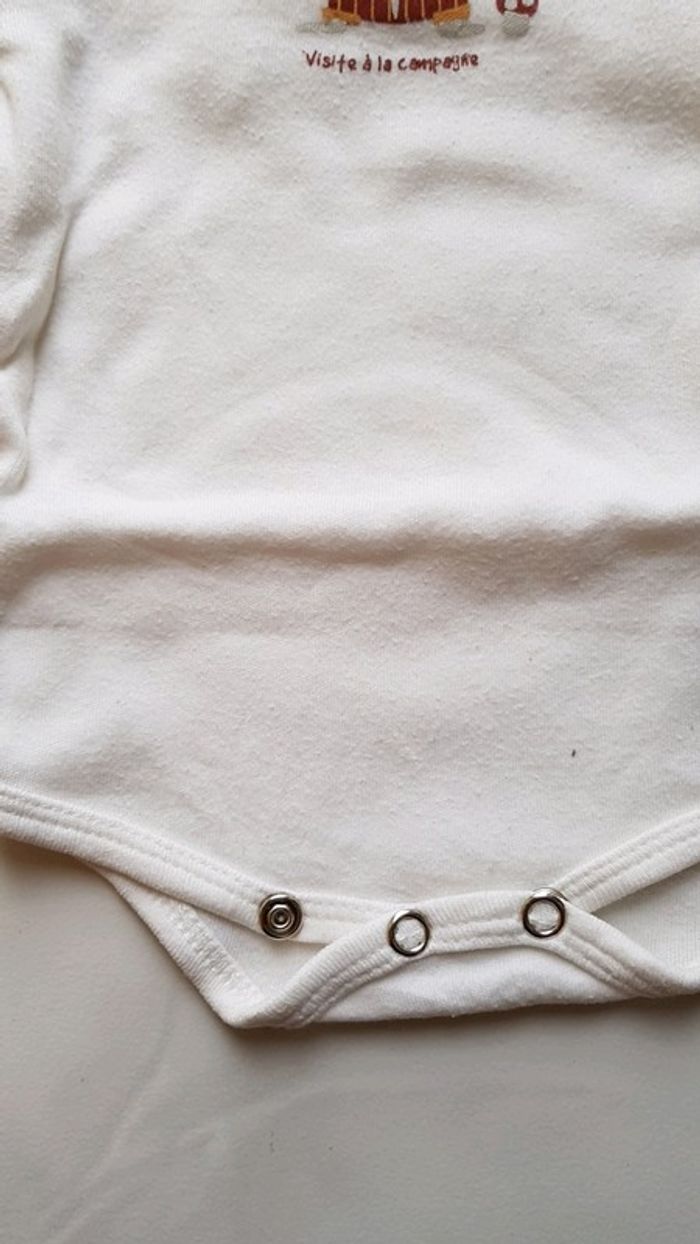 Bodie Taille 3 mois - photo numéro 3