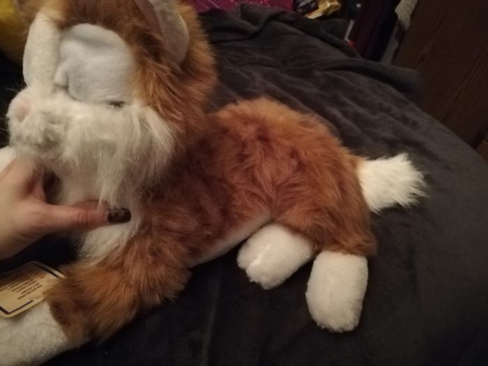 Peluche chat - photo numéro 3