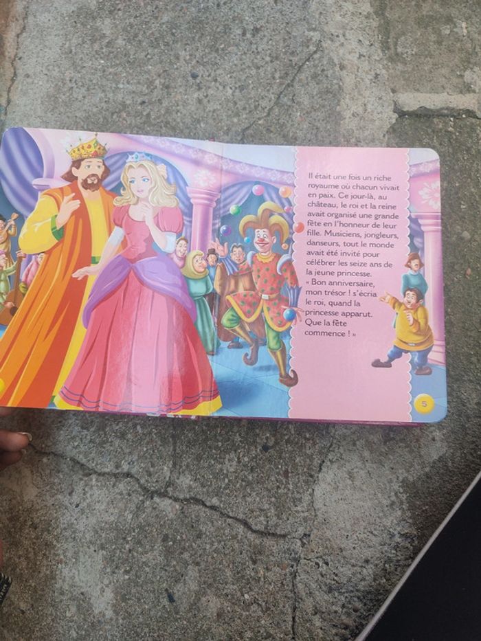 Livre le secret de la princesse - photo numéro 8