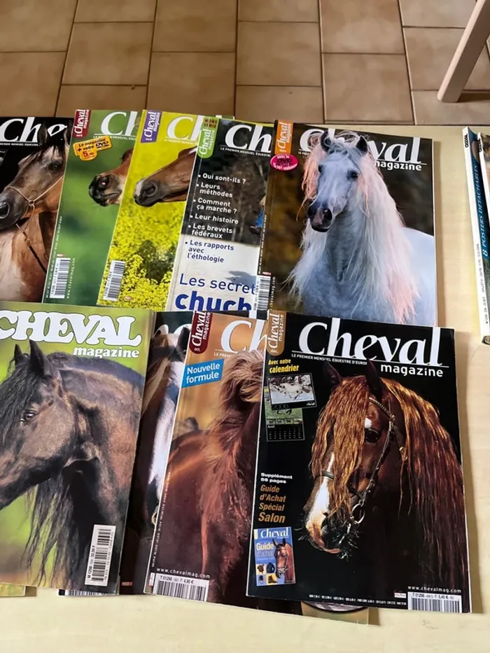 10 magazines sur les chevaux - photo numéro 2