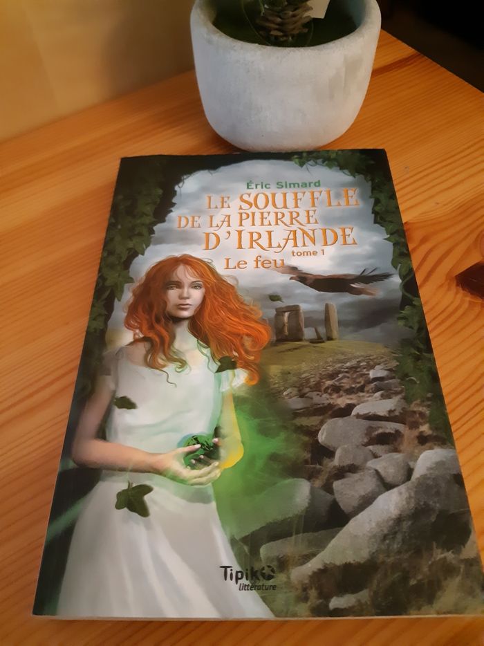 Le souffle de la pierre d'Irlande tome 1 Eric Simard