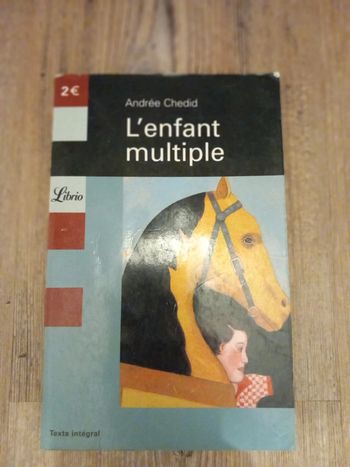 Livre l'enfant multiple