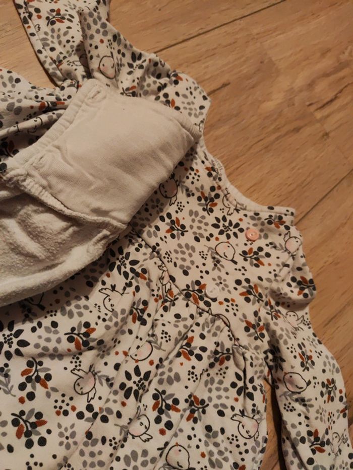 Ensemble DPAM oiseau - photo numéro 4