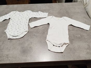 Lot Bodies