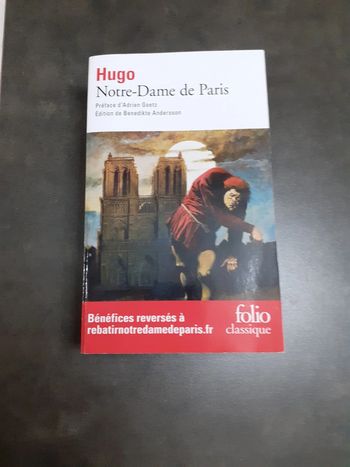 Hugo notre-dame de paris