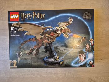 Boite de Lego 76406 Harry Potter Le Magyar à pointes