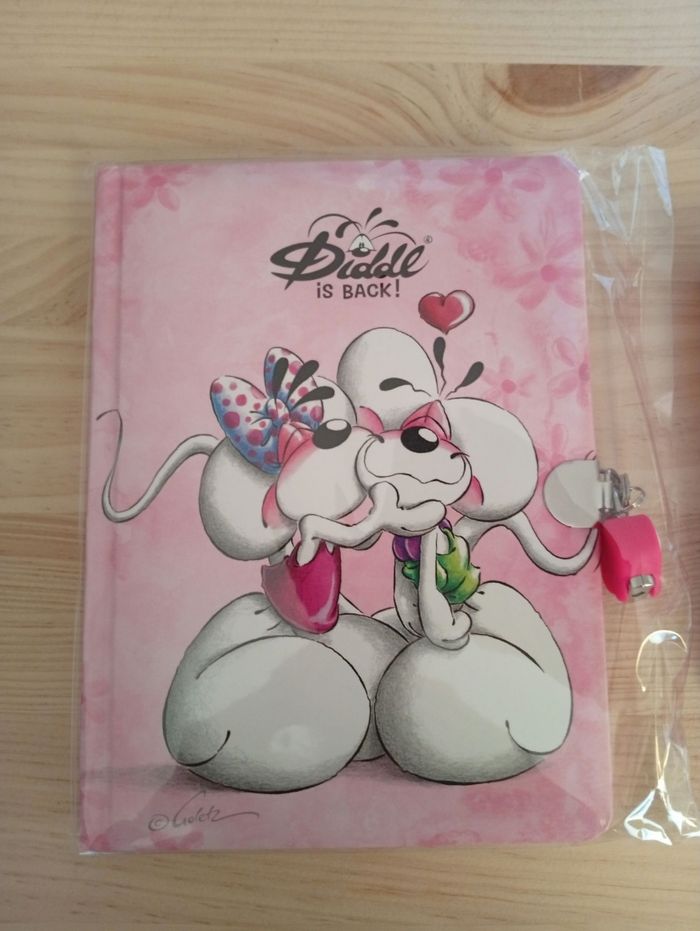 Lot loisir créatif Diddle is back - photo numéro 2