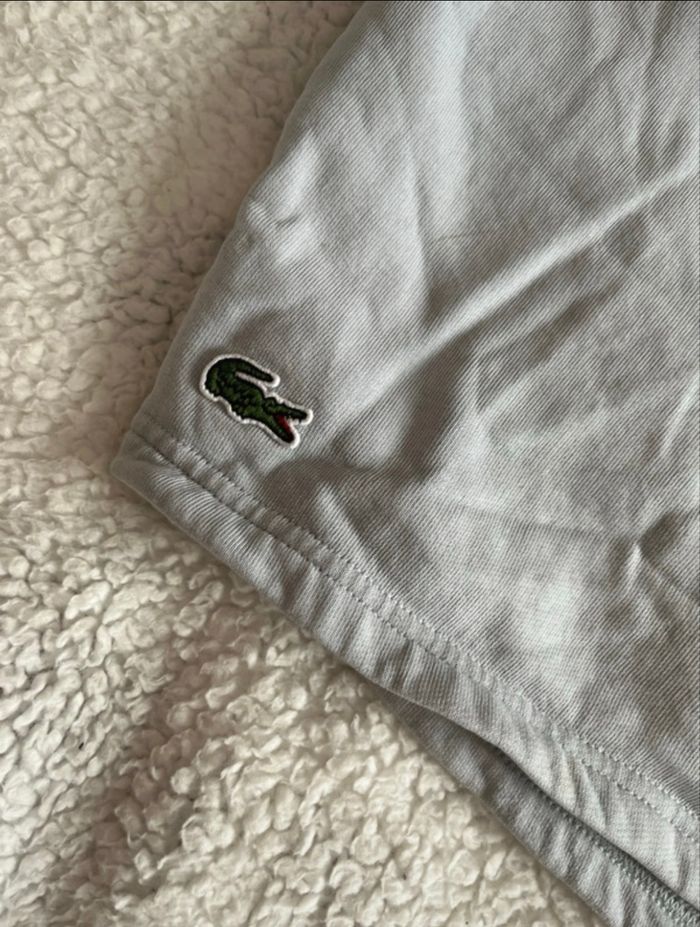 Short Lacoste - photo numéro 4