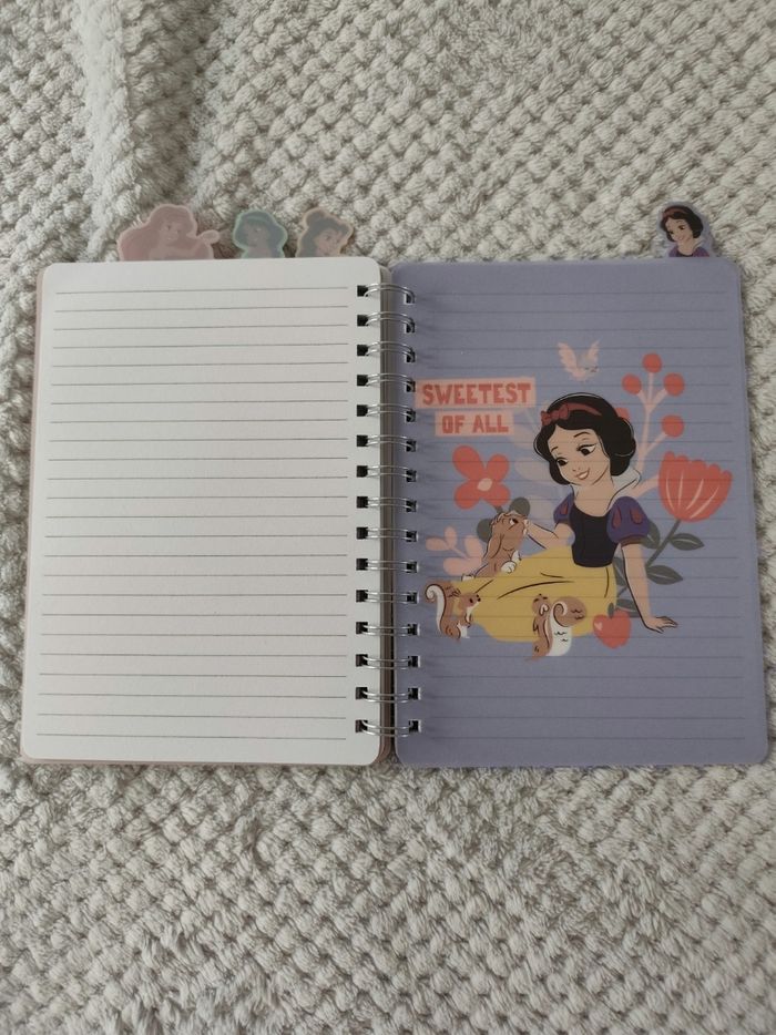 Carnet Princesse - photo numéro 5