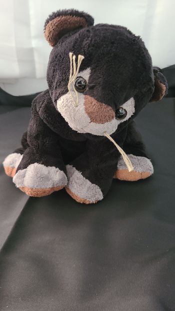 doudou chat noir blanc marron