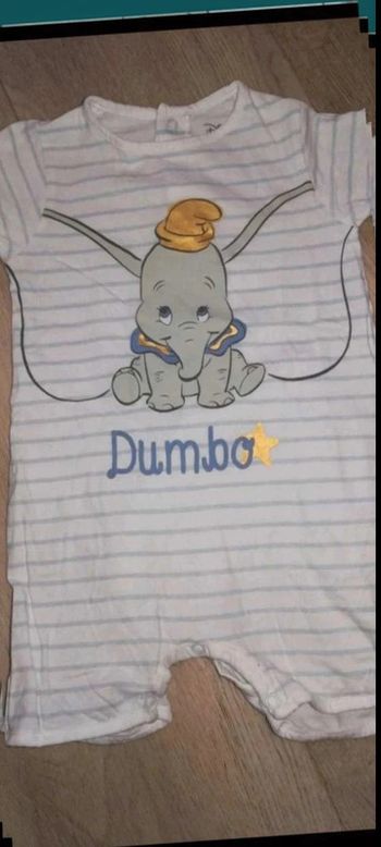 Grenouillère  Dumbo