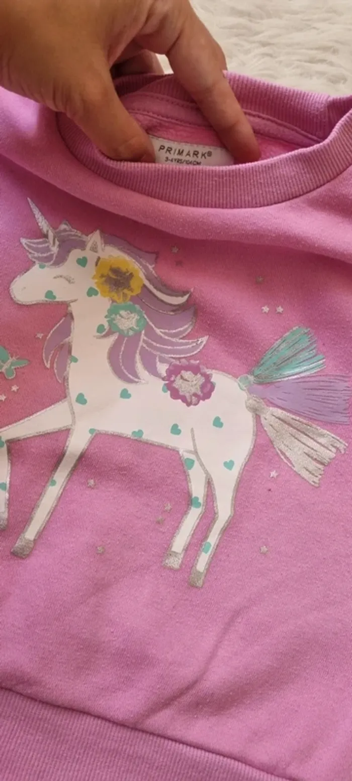 Pull Licorne - photo numéro 2