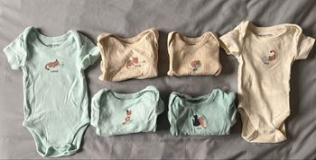 Lot 6 bodies manches courtes