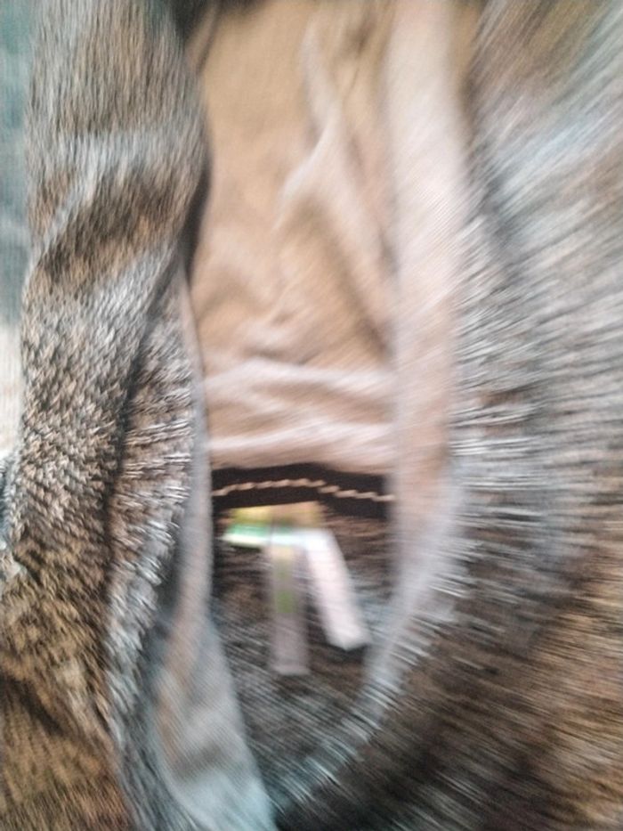 Sweat fin orchestra 10 ans - photo numéro 6