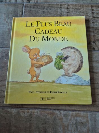 Livre le plus beau cadeau du monde Paul Stewart et Chris Riddell