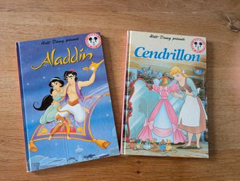 Lot de deux livres Disney